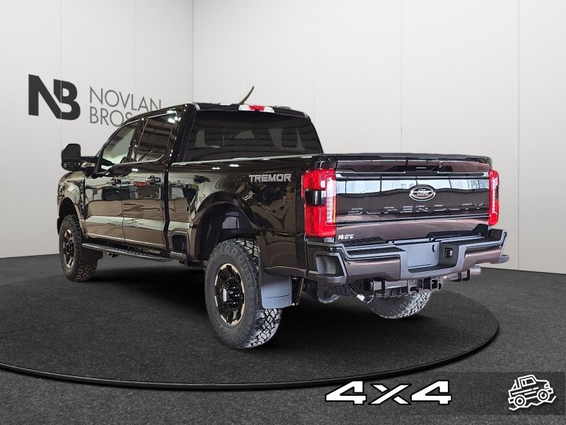 Ford F-250 Super Duty Lariat  - Premium Audio 1FT8W2BN3TED99466 140746