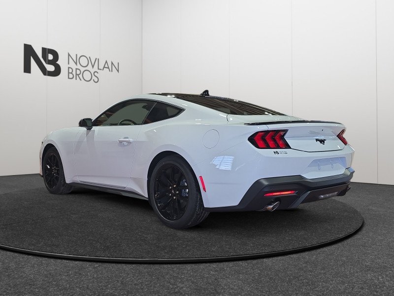 Ford Mustang EcoBoost 1FA6P8TH3T5115999 138690