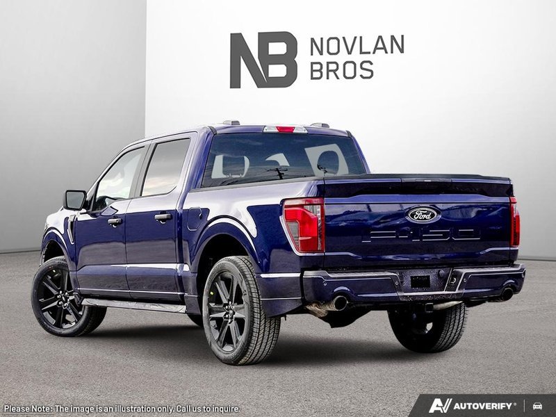Ford F-150 STX  - Fog Lamps 1FTEW2L53TFA94805 141702