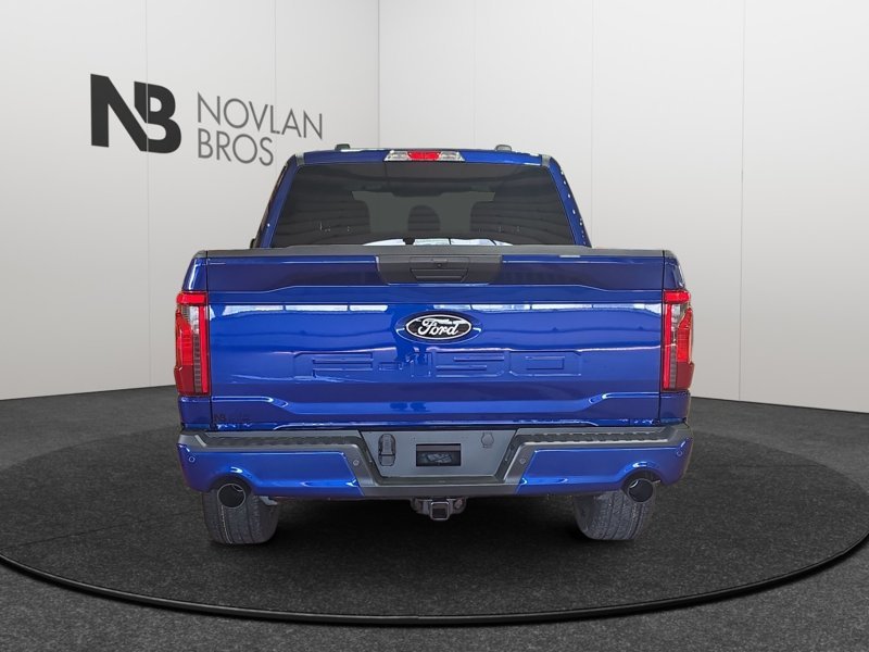Ford F-150 STX  - Fog Lamps 1FTEW2L53TFA94805 142087