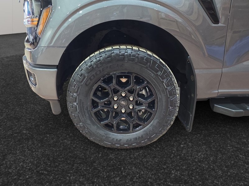 Ford F-150 XLT  - Heated Seats - Alloy Wheels 1FTFW3L55RKE31176 143751