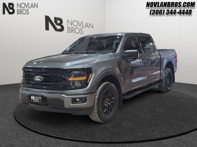 2024 Ford F-150 XLT  - Heated Seats - Alloy Wheels - Image 0