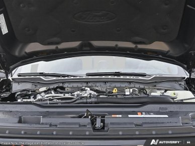 Ford F-350 Super Duty Platinum 1FT8W3BMXTEE22478 143414