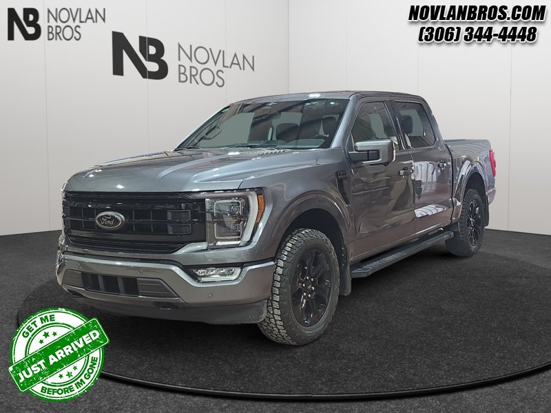 Ford F-150 Lariat  - Navigation - Heated Seats 1FTEW1EP0PFD01231 144574