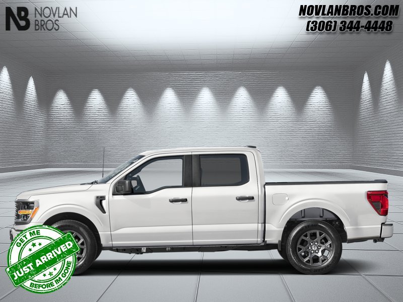 Ford F-150 STX  - 20 inch Wheels - Fog Lamps 1FTEW2LP1TKE54498 144742