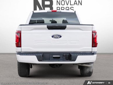 2026 Ford F-150 STX  - 20 inch Wheels - Fog Lamps - Image 4