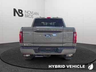 Ford F-150 Platinum  - Sunroof - Tow Package 1FTFW7LD5TFB66841 145828