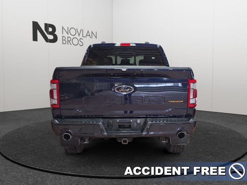 Ford F-150 Tremor  - Navigation - Heated Seats 1FTEW1E88PFC07395 145999