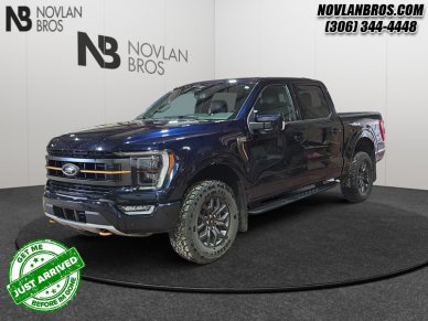 Ford F-150 Tremor  - Navigation - Heated Seats 1FTEW1E88PFC07395 145914