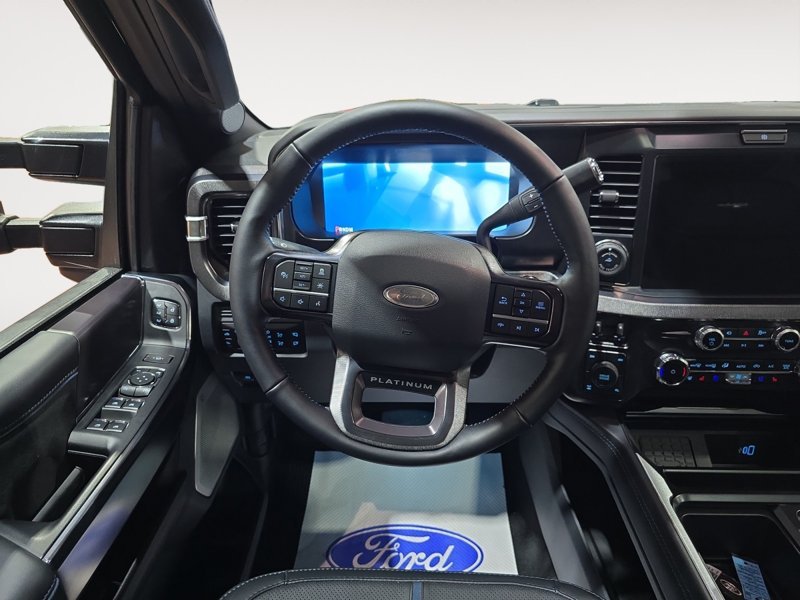 Ford F-350 Super Duty Platinum  - Premium Audio 1FT8W3BTXTED96228 146103