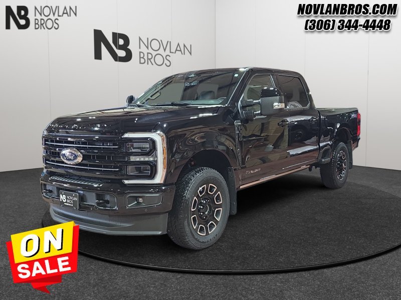Ford F-350 Super Duty Platinum  - Premium Audio 1FT8W3BTXTED96228 146246