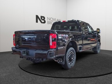 2026 Ford F-350 Super Duty Platinum  - Premium Audio - Image 4