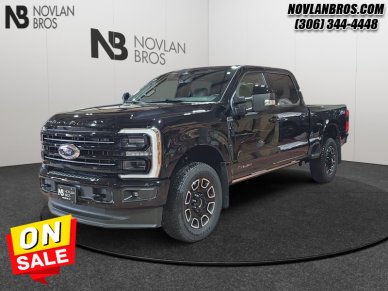 Ford F-350 Super Duty Platinum  - Premium Audio 1FT8W3BTXTED96228 146246