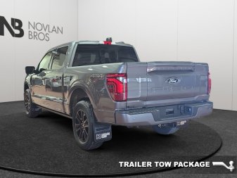 2026 Ford F-150 Platinum  - Sunroof - Tow Package - Image 2