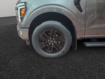 2026 Ford F-150 Platinum  - Sunroof - Tow Package - Image 13