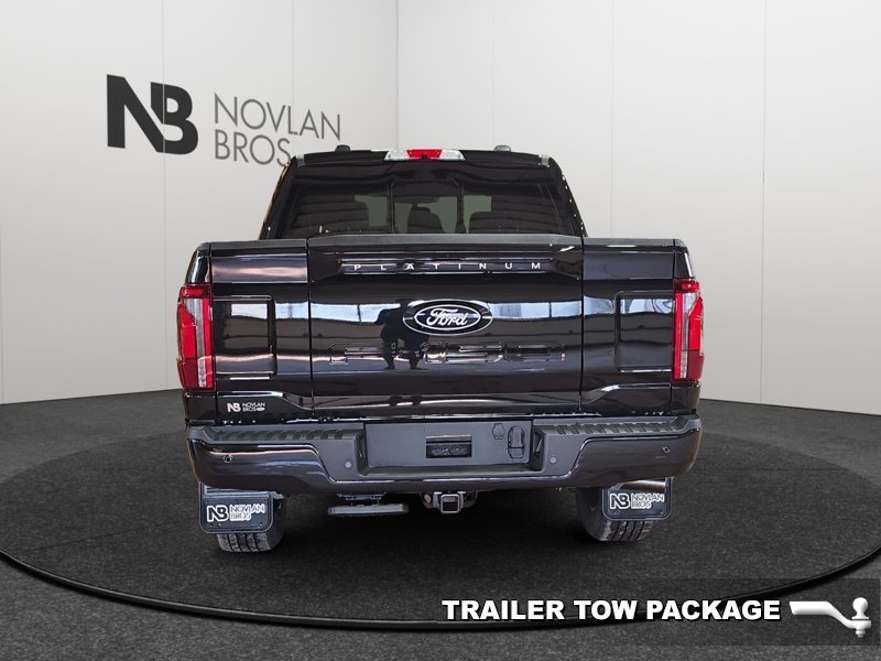 Ford F-150 Platinum  - Sunroof - Tow Package 1FTFW7L88TFB71910 146294