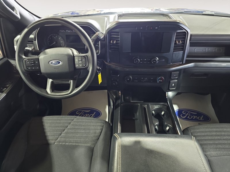 Ford F-150 XL  - Cruise Control 1FTEW1EP3NKD76994 146045