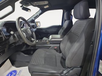 Ford F-150 XL  - Cruise Control 1FTEW1EP3NKD76994 146044