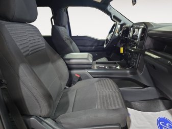 Ford F-150 XL  - Cruise Control 1FTEW1EP3NKD76994 146049