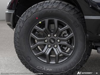 Ford F-150 Tremor  - Leather Seats - Sunroof 1FTFW4L59TFB25846 146561