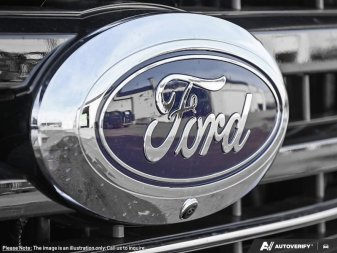 Ford F-350 Super Duty Platinum  - Premium Audio 1FT8W3BT1TEF48526 146454