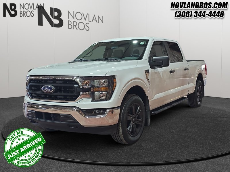 Ford F-150 XLT  - Alloy Wheels 1FTFW1E58PFA98043 146837