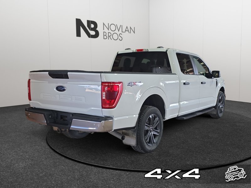 Ford F-150 XLT  - Alloy Wheels 1FTFW1E58PFA98043 146862