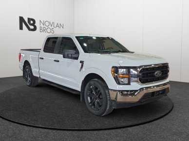 2023 Ford F-150 XLT  - Alloy Wheels - Image 6