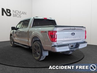 2023 Ford F-150 XLT  - Heated Seats - Alloy Wheels - Image 4