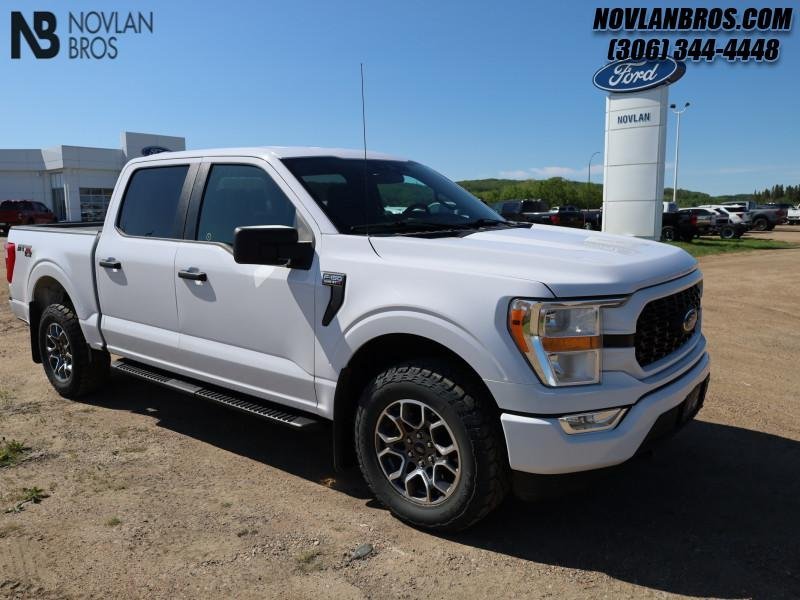 Ford F-150 XL 1FTEW1EP8MKD88380