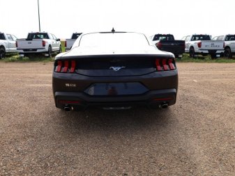 2024 Ford Mustang EcoBoost - Image 4