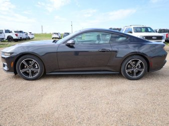 2024 Ford Mustang EcoBoost - Image 5