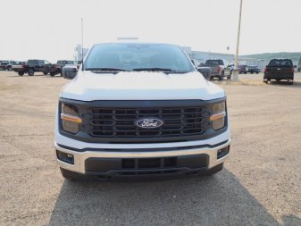 2024 Ford F-150 XL  - XL Series - Fog Lamps - Image 3