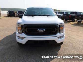 2021 Ford F-150 XLT  - Heated Seats - Alloy Wheels - Image 3