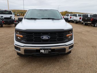 2024 Ford F-150 XL  - XL Series - Fog Lamps - Image 3