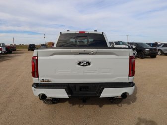 Ford F-150 Tremor  - Tailgate Step 1FTFW4L84RFB84774 104341