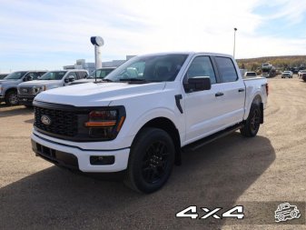 Ford F-150 STX 1FTEW2LP0RKE71821 104390