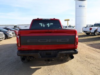 2024 Ford F-150 Raptor  - Leather Seats - Sunroof - Image 4