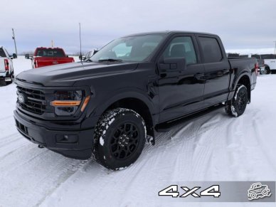 2024 Ford F-150 XLT - Image 1