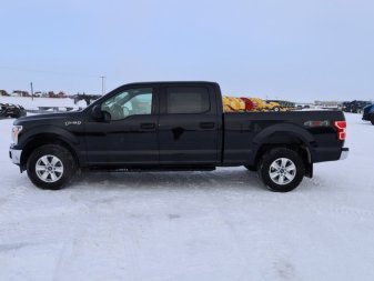 2019 Ford F-150 XLT  - Alloy Wheels - Image 5