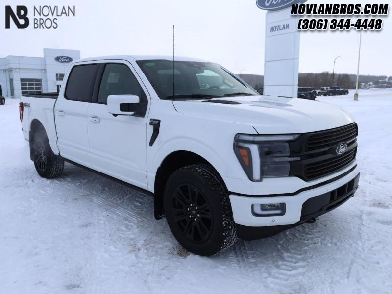 Ford F-150 Platinum 1FTFW7L87SFA02735