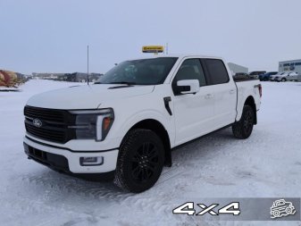 2025 Ford F-150 Platinum - Image 1