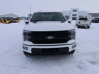 2025 Ford F-150 Platinum - Image 3