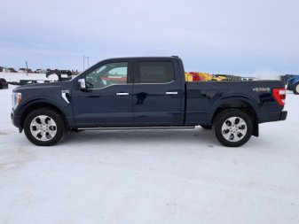 2022 Ford F-150 Platinum  - Sunroof - Heated Seats - Image 5