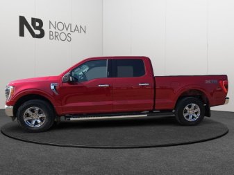 2022 Ford F-150 XLT  - Heated Seats - Alloy Wheels - Image 7