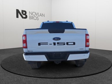 Ford F-150 STX   - Navigation - Running Boards 1FTEW1EP7PFC38483 113482