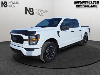 Ford F-150 STX   - Navigation - Running Boards 1FTEW1EP7PFC38483 114882