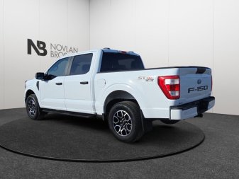 Ford F-150 STX   - Navigation - Running Boards 1FTEW1EP7PFC38483 114883