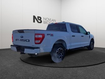 Ford F-150 STX   - Navigation - Running Boards 1FTEW1EP7PFC38483 114884