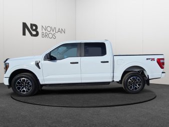 Ford F-150 STX   - Navigation - Running Boards 1FTEW1EP7PFC38483 114887